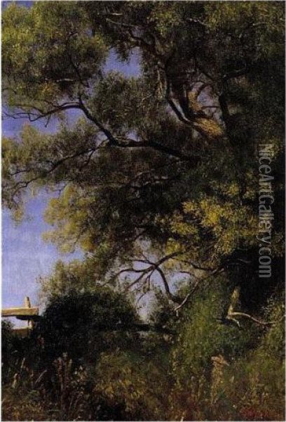 Salem Landscape Oil Painting - Albert Bierstadt