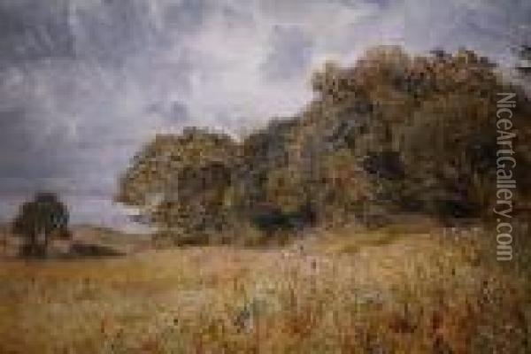 A Wooded Landscape Oil Painting - William Joseph Caesar Julius Bond