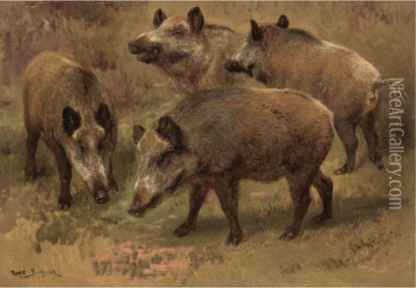 Four Boars In A Landscape Oil Painting - Rosa Bonheur