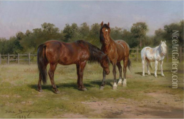 Three Horses In A Landscape Oil Painting - Rosa Bonheur