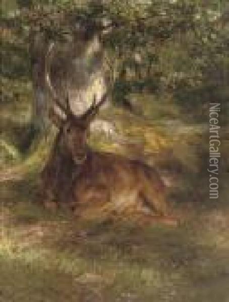 A Stag In A Forest Oil Painting - Rosa Bonheur