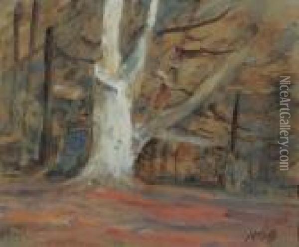 An Old Beech Tree In The Woods At Knole, Kent Oil Painting - Hercules Brabazon Brabazon