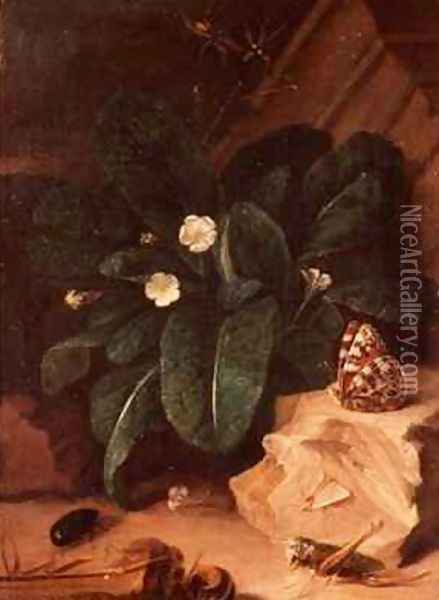 Still Life with Primroses and Insects Oil Painting - Carl Wilhelm de Hamilton