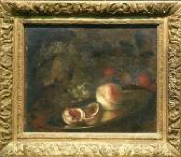 Still Life With Fruit Oil Painting - Abraham Brueghel