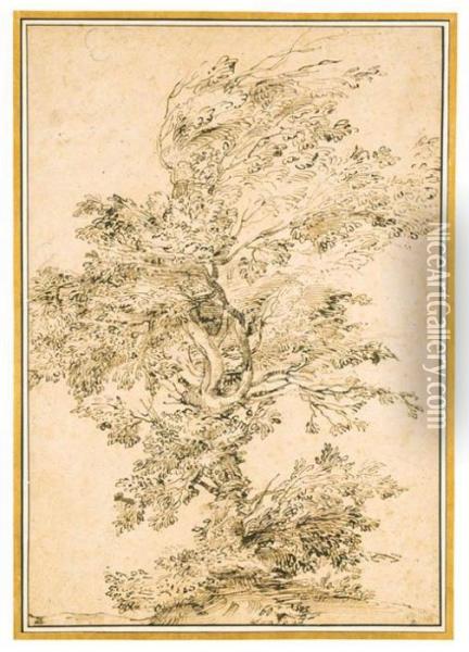 A Large Tree On A Rise
With Inscription 'carraci'
Black Chalk, Pen And Brown Ink Oil Painting - Annibale Carracci