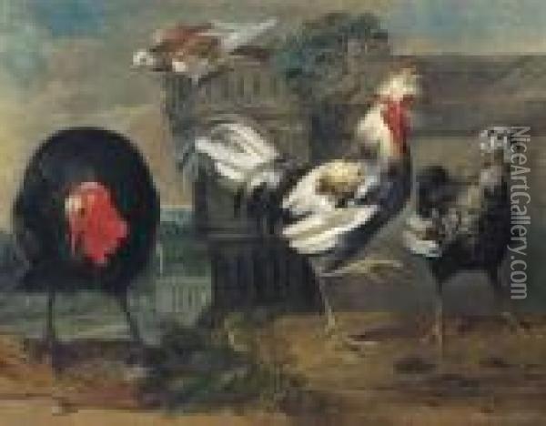 Two Crested Chickens, A Turkey And A Dove In An Architecturallandscape Oil Painting - Pieter III Casteels
