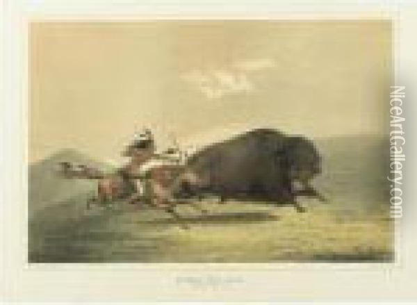 Buffalo Hunt, Chase; Buffalo Hunt, Chase And Antelope Shooting Oil Painting - George Catlin