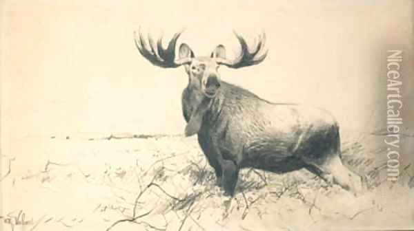 Elk Oil Painting - Wilhelm Kuhnert
