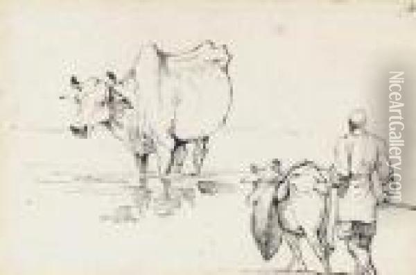 Studies Of Indian Cattle Oil Painting - George Chinnery