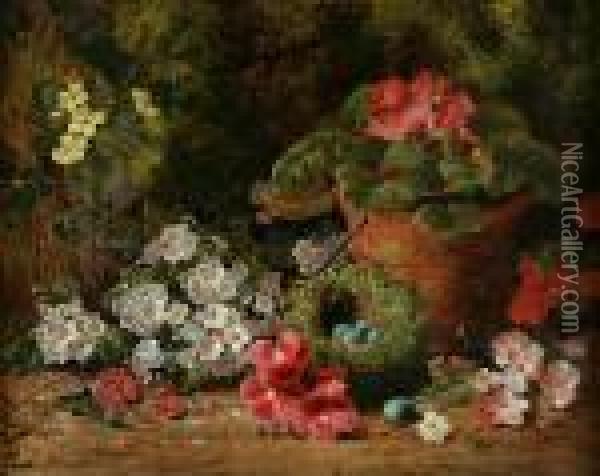 Primroses, Geraniums And A Bird's Nest On A Bank Oil Painting - George Clare