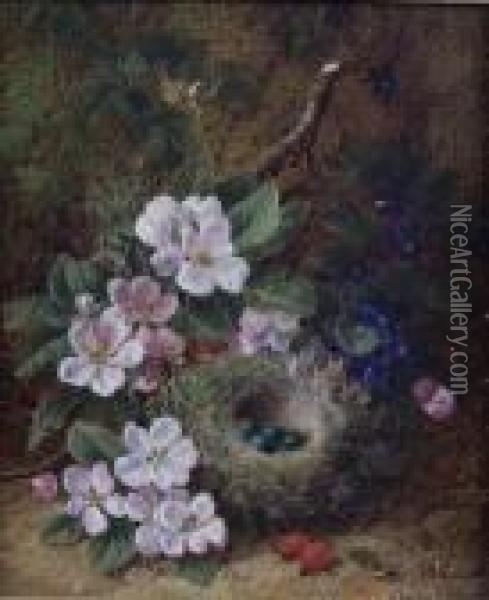 A Still Life Studyof A Hedge Sparrows Nest And Apple Blossom Oil Painting - George Clare