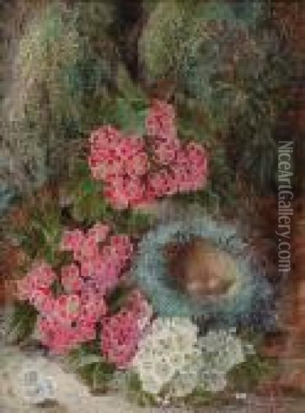 Spring Flowers And A Bird's Nest Oil Painting - Oliver Clare