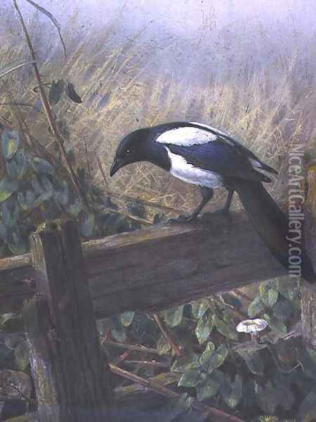 The Magpie Oil Painting - Johan Gerard Keulemans