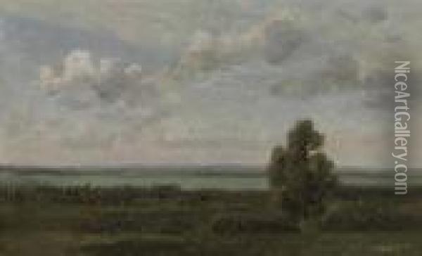 Plaines Orleanaises Oil Painting - Jean-Baptiste-Camille Corot