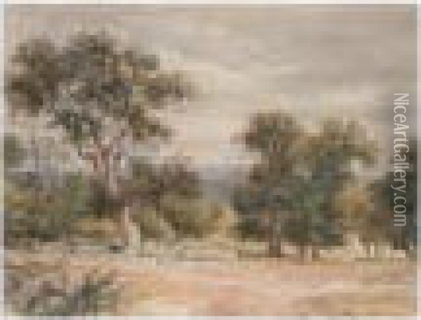 Landscape With Trees Oil Painting - David Cox