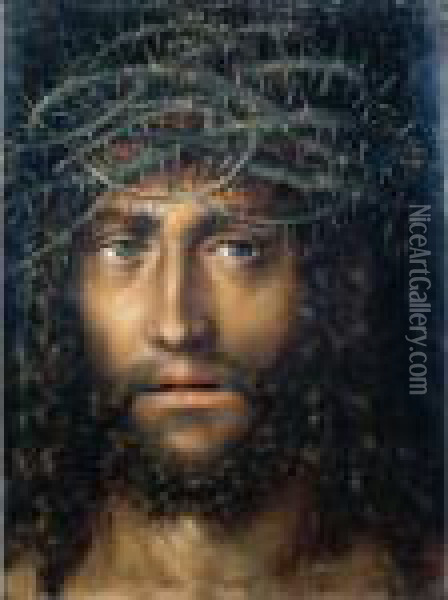 The Head Of Christ Crowned With Thorns Oil Painting - Lucas The Elder Cranach