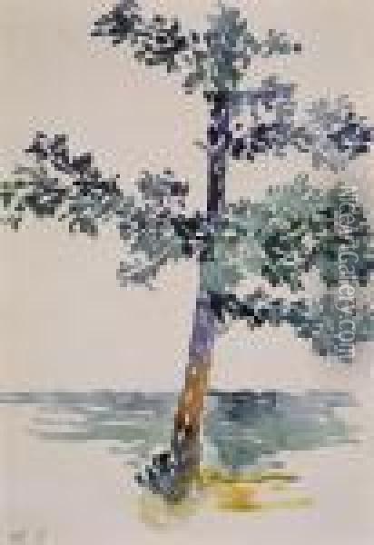 L'arbre Oil Painting - Henri Edmond Cross