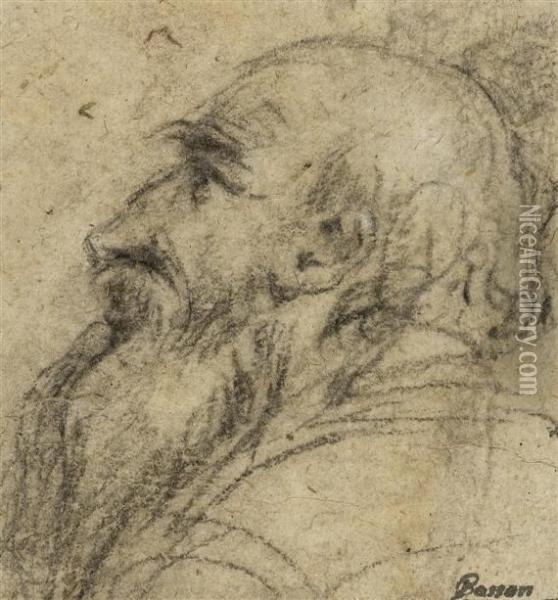 Study Of A Bearded Man In Profile To The Left Oil Painting - Jacopo Bassano (Jacopo da Ponte)