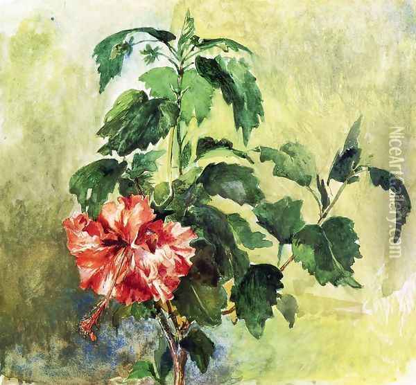 The Hibiscus Tahiti Society Islands 1891 Oil Painting - John La Farge