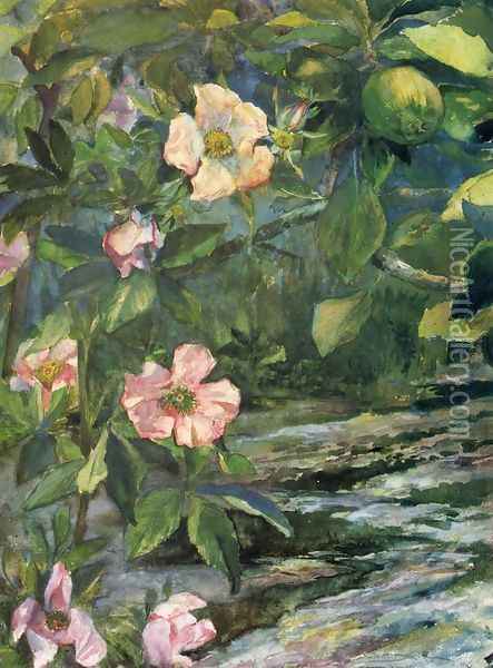 Wild Roses Oil Painting - John La Farge