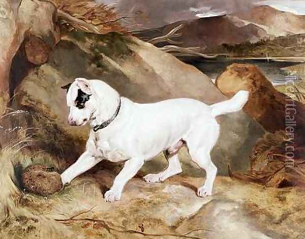 JOCKO WITH A HEDGEHOG DOG ANIMAL PAINTING BY SIR EDWIN LANDSEER REPRO
