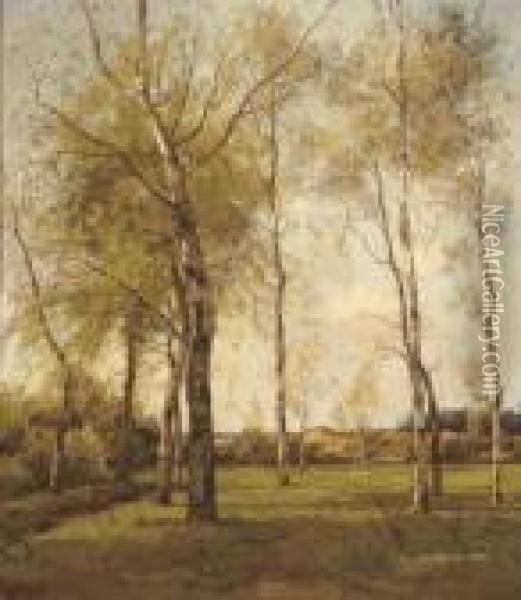 Schaapskooi - October: Birch Trees By The Dunes In Autumn Oil Painting - Theophile Emile Achille De Bock