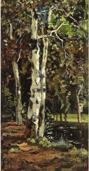 Birch Trees By A Pond Oil Painting - Theophile Emile Achille De Bock