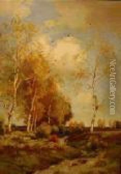 Birches Along A Meandering Brook Oil Painting - Theophile Emile Achille De Bock