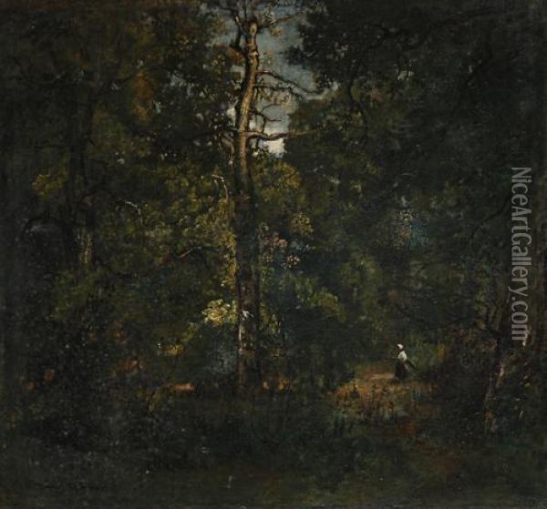 Bucheronne, Chemin Du Dormoir, Sous-bois Oil Painting - Narcisse-Virgile D Az De La Pena