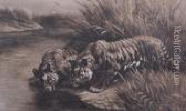 Two Tigers Oil Painting - Herbert Thomas Dicksee