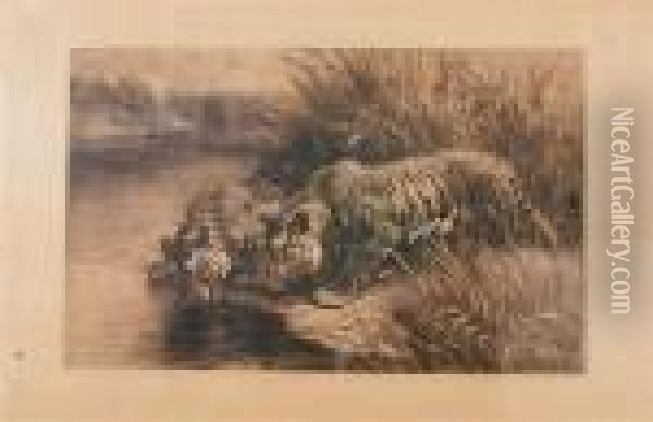 Tigers. Oil Painting - Herbert Thomas Dicksee