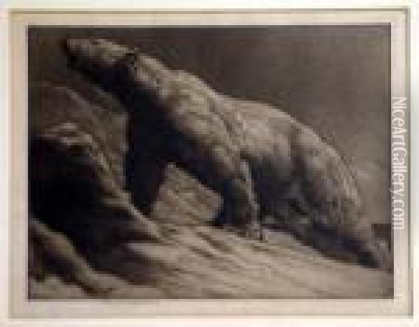 Polar Bear Oil Painting - Herbert Thomas Dicksee