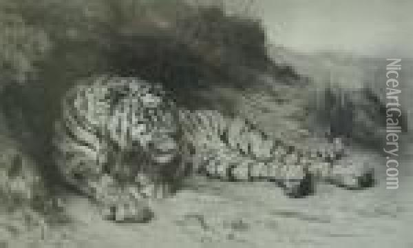 Tiger Resting. Oil Painting - Herbert Thomas Dicksee