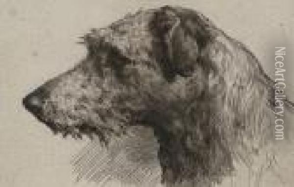A Scottish Deerhound Oil Painting - Herbert Thomas Dicksee