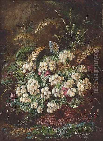Heather and a butterfly Oil Painting - Albert Durer Lucas