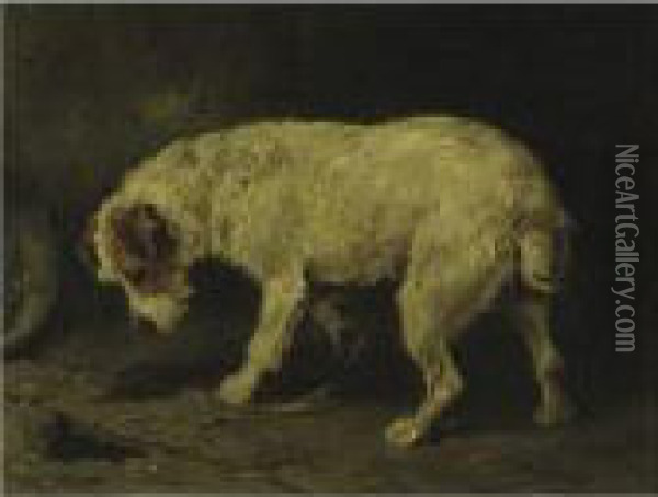 Jack Russell Terrier Oil Painting - John Emms