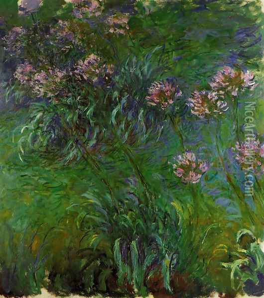 Agapanathus Oil Painting - Claude Oscar Monet
