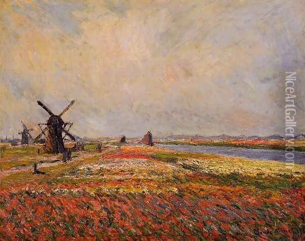 Fields Of Flowers And Windmills Near Leiden Oil Painting - Claude Oscar Monet