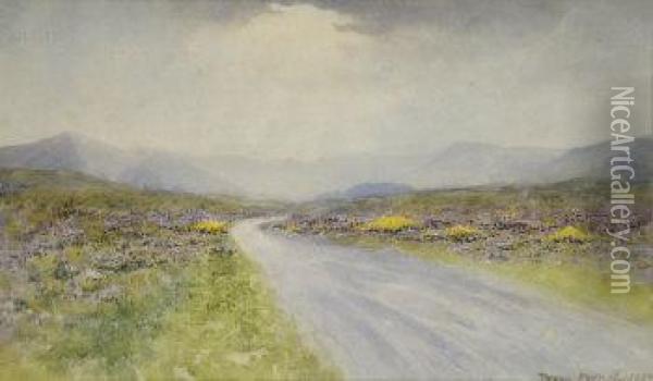 Western Landscape In Spring Oil Painting - William Percy French