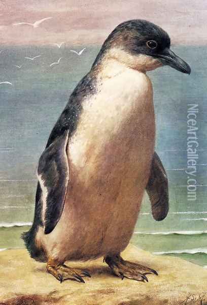 Study Of A Penguin Oil Painting - Henry Stacy Marks