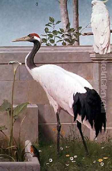 Manchurian Crane Cockatoo and Robin Oil Painting - Henry Stacy Marks
