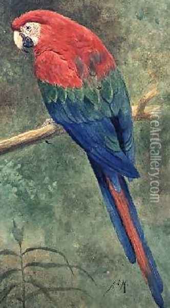 Red and Blue Macaw Oil Painting - Henry Stacy Marks