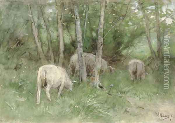Sheep in a Meadow Oil Painting - Anton Mauve