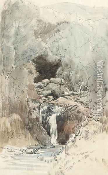 A moorland waterfall, Devon Oil Painting - John Middleton