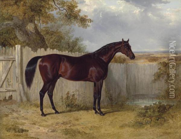 Theobald's Rockingham By A Fence In A Paddock Oil Painting - John Frederick Herring Snr
