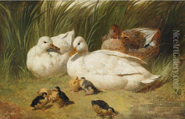 Family Of Ducks Oil Painting - John Frederick Herring Snr