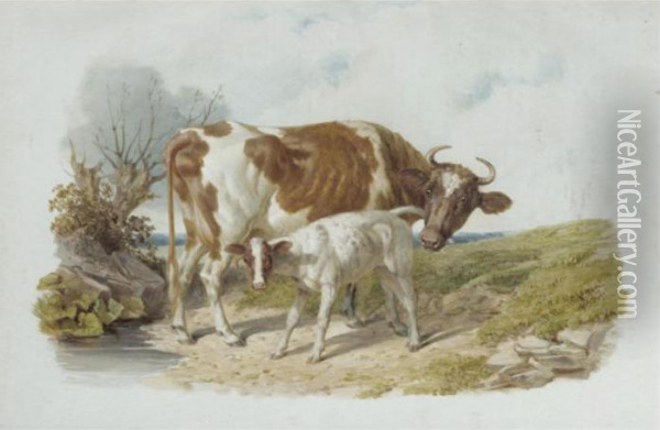 Study Of A Cow And Her Calf Oil Painting - John Frederick Herring Snr