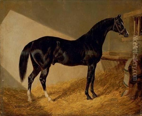 Camel, Winner Of The 1826 Port Stakes, In A Stable Oil Painting - John Frederick Herring Snr