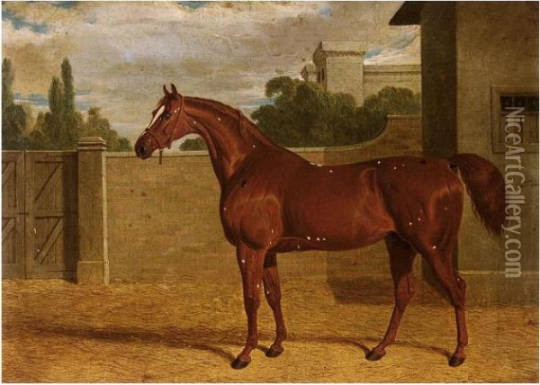 Comus, A Chestnut Racehorse In A Stable Yard Oil Painting - John Frederick Herring Snr