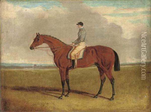 Bay Middleton With Jockey Up Oil Painting - John Frederick Herring Snr